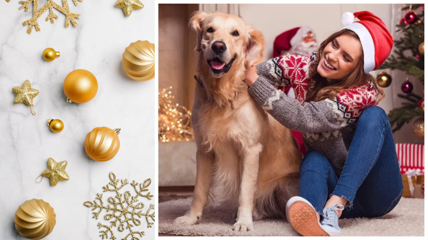 Ugly sweaters, Halloween costumes , Christmas decorations, hats